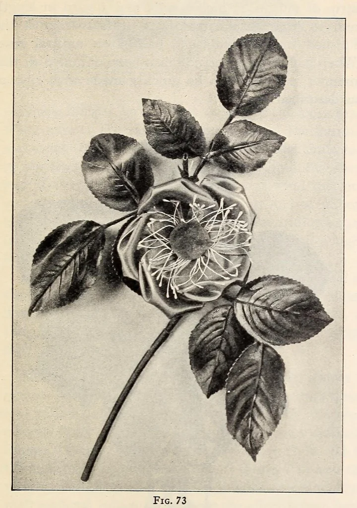 An illustration from Ribbon and fabric trimmings : a variety of appropriate dress trimmings that can be made from ribbon and fabric, with directions for their making, 1925, leaf 29