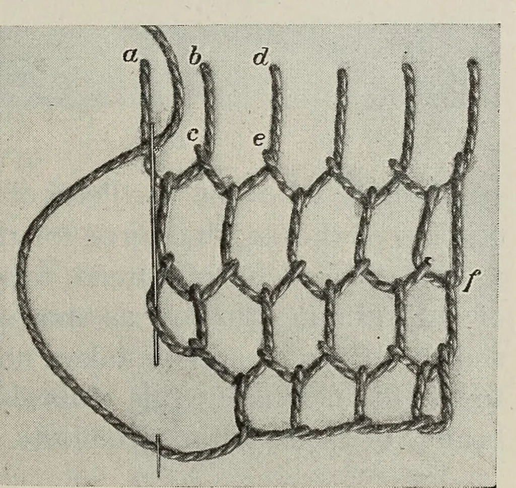 An illustration from Embroidery and decorative stitches, 1916, leaf 23