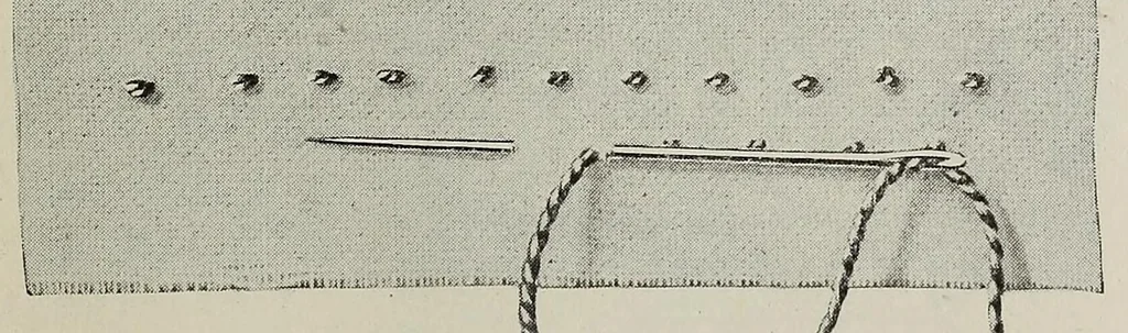 An illustration from Embroidery and decorative stitches, 1916, leaf 31