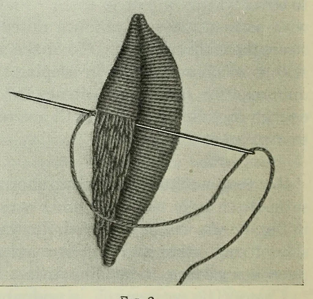 An illustration from Embroidery and decorative stitches, 1916, leaf 50