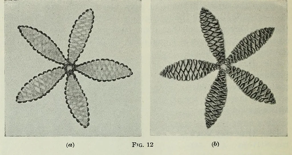 An illustration from Embroidery and decorative stitches, 1916, leaf 62