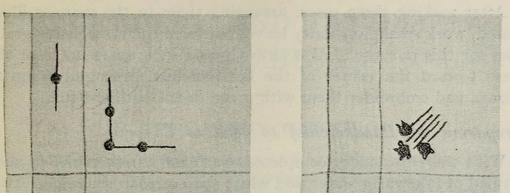 An illustration from Embroidery and decorative stitches, 1916, leaf 97
