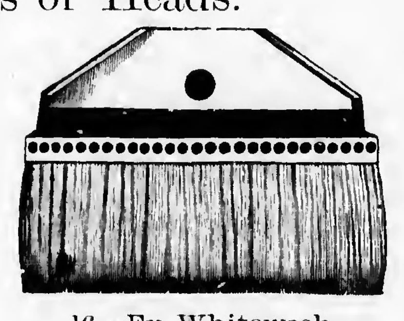 An illustration from C. Boeckh & Sons Brushes : 1886, 1886, leaf 3