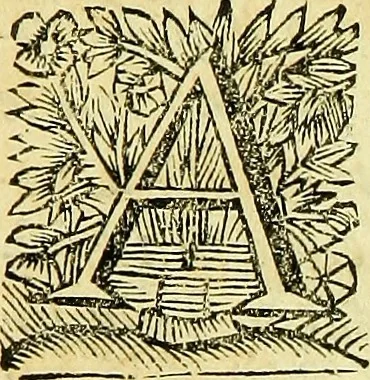 An illustration from Historia insectorum generalis : cum figuris et indicibus necessariis, 1685, leaf 12