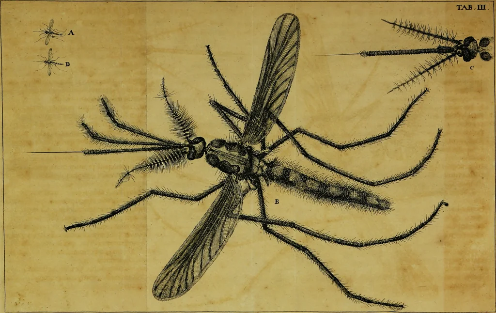 An illustration from Historia insectorum generalis : cum figuris et indicibus necessariis, 1685, leaf 124