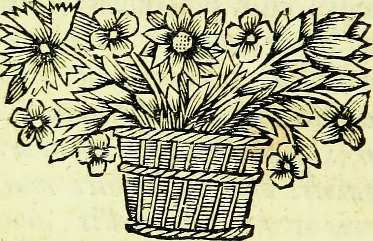 An illustration from Historia insectorum generalis : cum figuris et indicibus necessariis, 1685, leaf 17