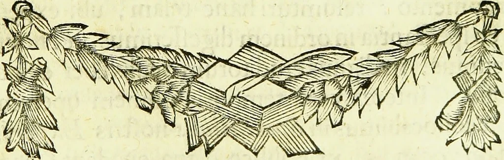 An illustration from Historia insectorum generalis : cum figuris et indicibus necessariis, 1685, leaf 178