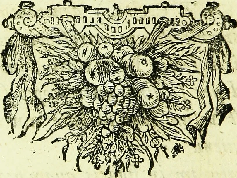 An illustration from Historia insectorum generalis : cum figuris et indicibus necessariis, 1685, leaf 197