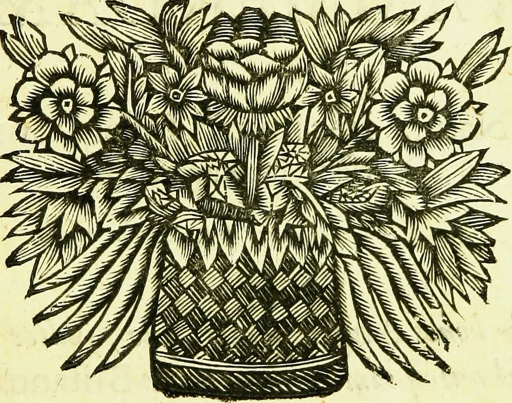 An illustration from Historia insectorum generalis : cum figuris et indicibus necessariis, 1685, leaf 20