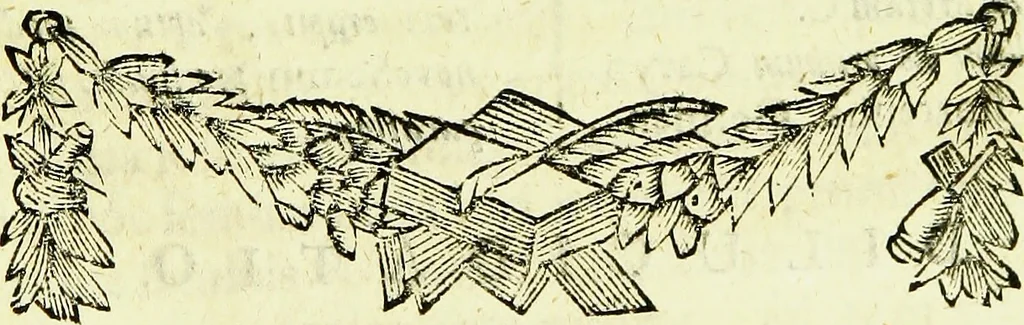 An illustration from Historia insectorum generalis : cum figuris et indicibus necessariis, 1685, leaf 238