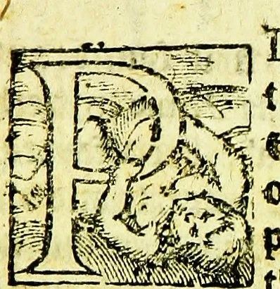 An illustration from A profitable instruction of the perfite ordering of bees, with the maruellous nature, propertie, and gouernements of them: and the necessarie vses both of their honie and waxe.., 1579, leaf 14