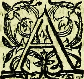 An illustration from A profitable instruction of the perfite ordering of bees, with the maruellous nature, propertie, and gouernements of them: and the necessarie vses both of their honie and waxe.., 1579, leaf 65