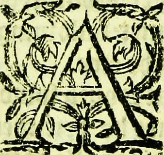 An illustration from A profitable instruction of the perfite ordering of bees, with the maruellous nature, propertie, and gouernements of them: and the necessarie vses both of their honie and waxe.., 1579, leaf 71