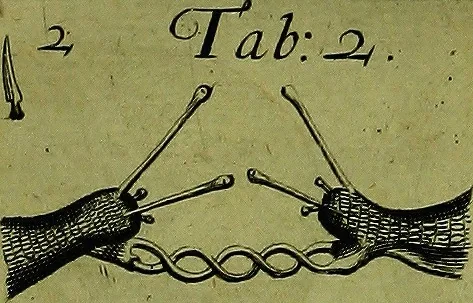 An illustration from Martini Lister ... Historiæ animalium Angliæ, tres tractatus. Unus de araneis. Alter de cochleis tum terrestribus, tum fluviatilibus. Tertius de cochleis marinis. Quibus adjectus est quartus de lapidibus ejusdem insulæ ad cochlearum quandam imaginem figuratis, 1678, leaf 125