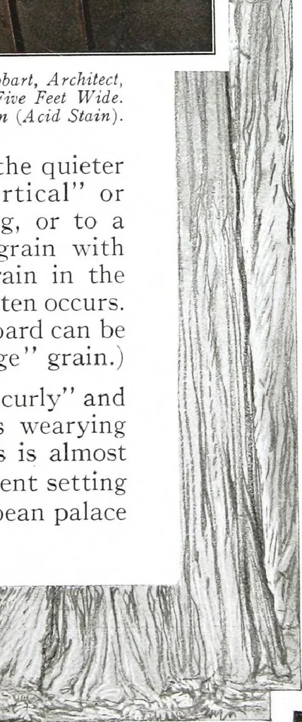 An illustration from California Redwood "nature's lumber masterpiece", 1916, leaf 18