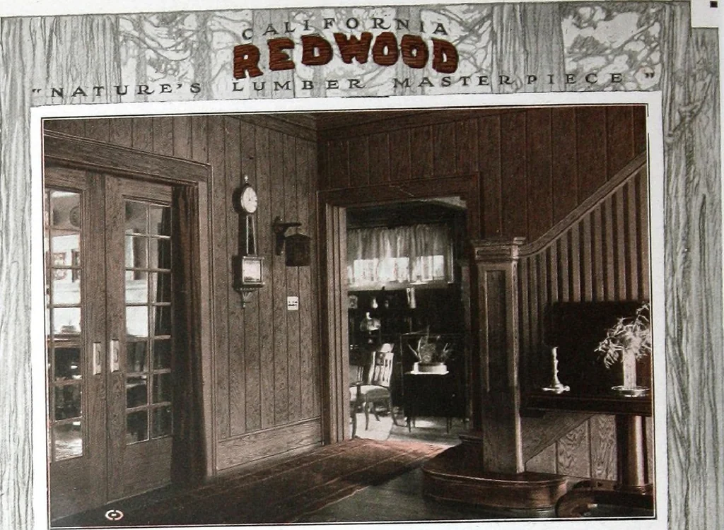 An illustration from California Redwood "nature's lumber masterpiece", 1916, leaf 19