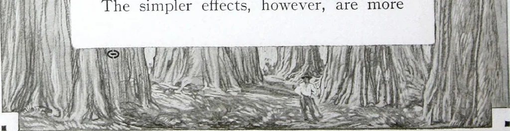 An illustration from California Redwood "nature's lumber masterpiece", 1916, leaf 19