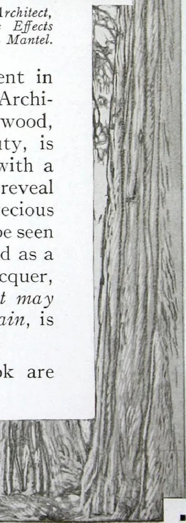 An illustration from California Redwood "nature's lumber masterpiece", 1916, leaf 29