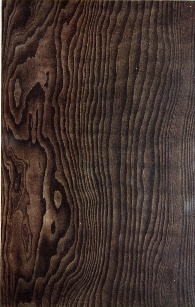 An illustration from California Redwood "nature's lumber masterpiece", 1916, leaf 40