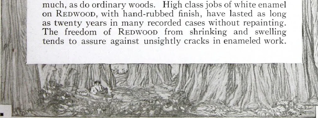 An illustration from California Redwood "nature's lumber masterpiece", 1916, leaf 56