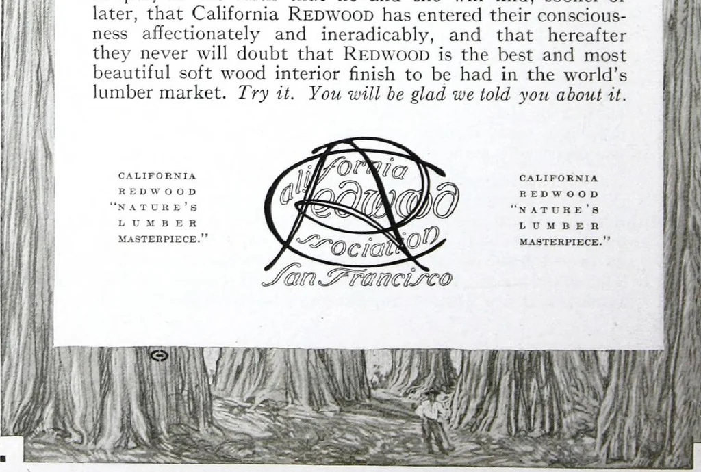 An illustration from California Redwood "nature's lumber masterpiece", 1916, leaf 57