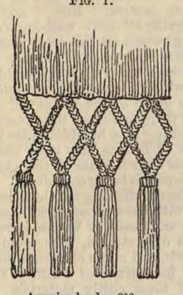 An illustration from Cantor Lectures on the Art of Lace-Making, 1881, leaf 10