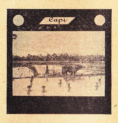An illustration from Catalogus van Lantaarnplaatjes, Lichtbeelden op Filmstrooken enz. CAPI Catalogus No. 40, 1925, leaf 7