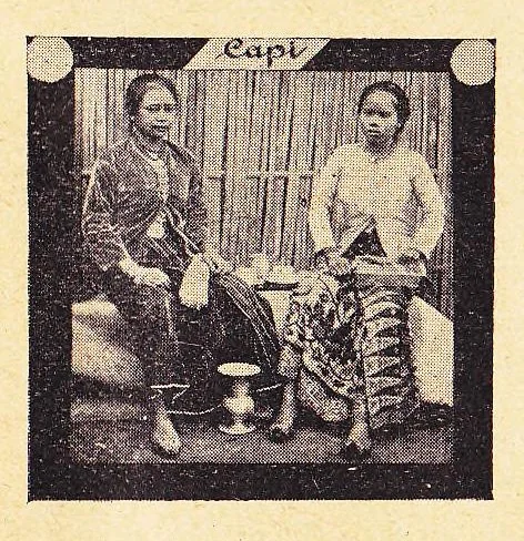 An illustration from Catalogus van Lantaarnplaatjes, Lichtbeelden op Filmstrooken enz. CAPI Catalogus No. 40, 1925, leaf 8