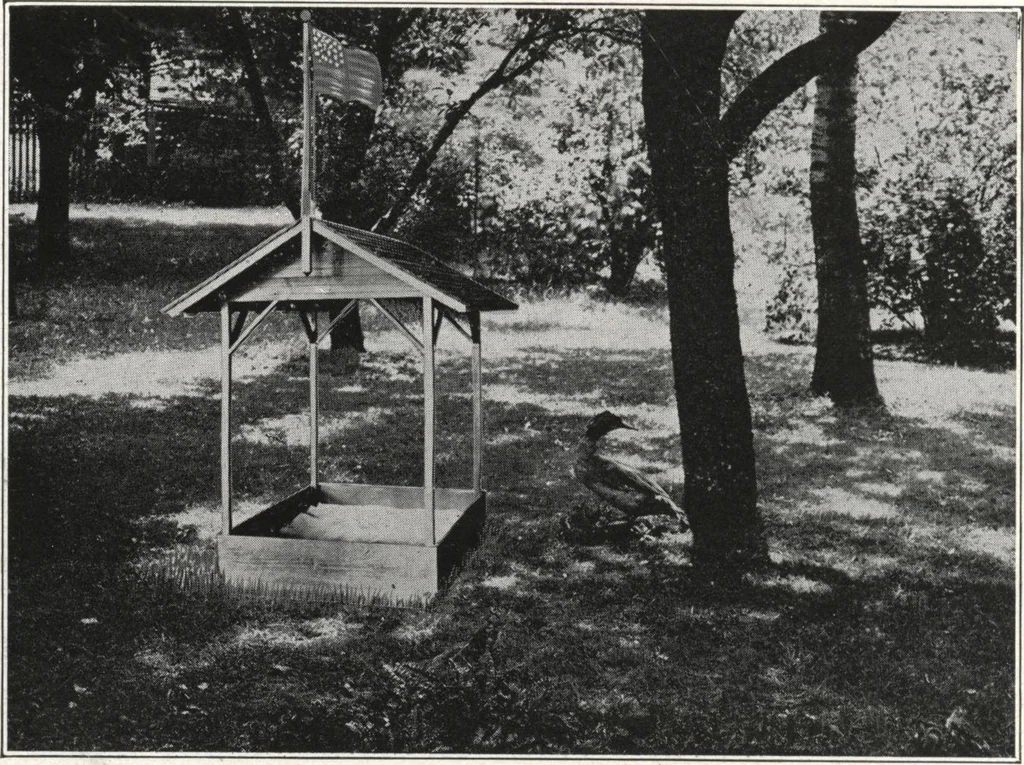An illustration from Catalog of garden furniture, arbors, pergolas, gateways, trellises, fences, etc., 1920, leaf 107