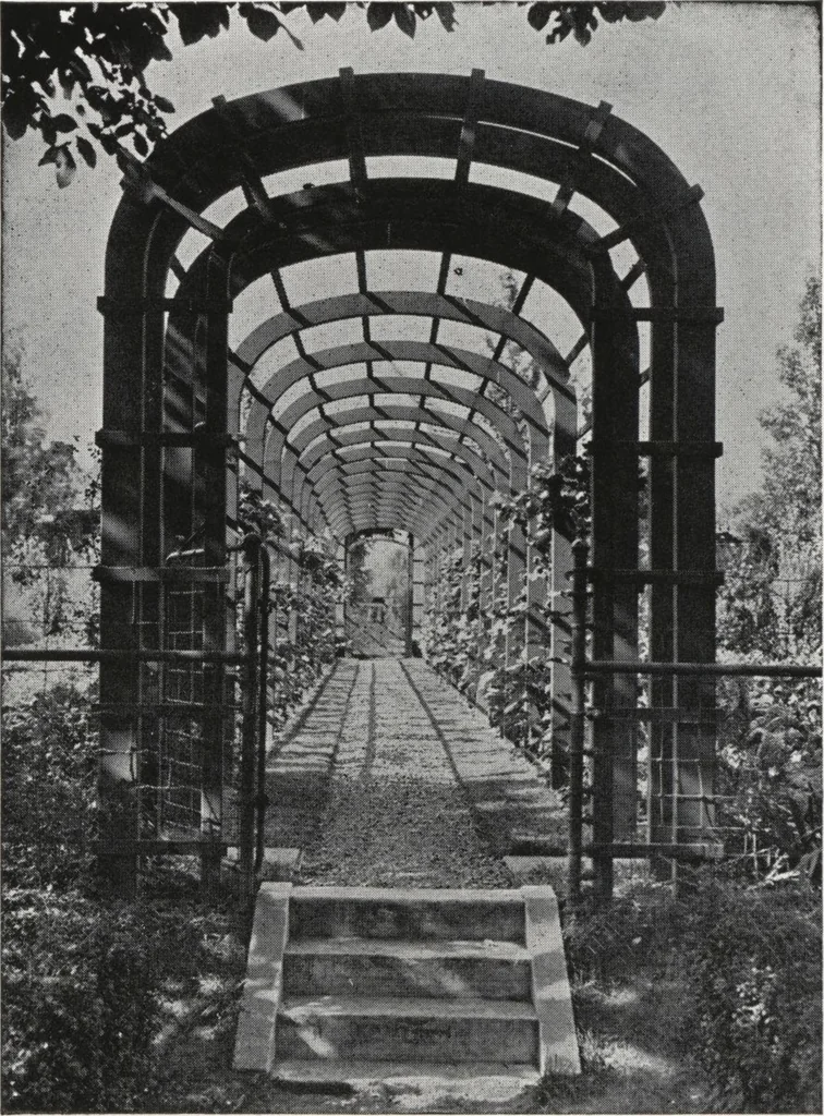 An illustration from Catalog of garden furniture, arbors, pergolas, gateways, trellises, fences, etc., 1920, leaf 50