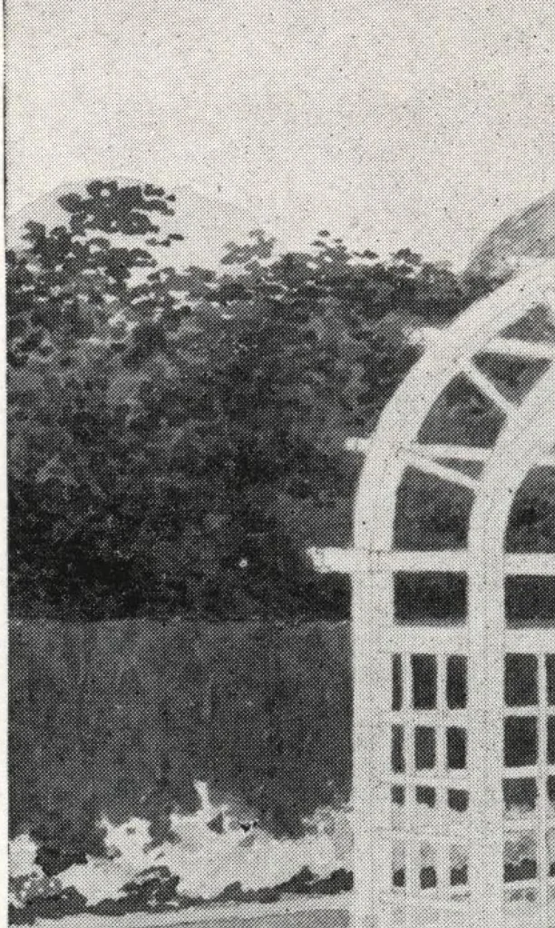 An illustration from Catalog of garden furniture, arbors, pergolas, gateways, trellises, fences, etc., 1920, leaf 63
