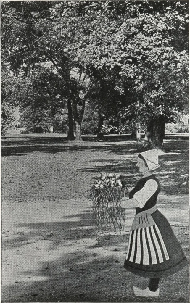 An illustration from Catalog of garden furniture, arbors, pergolas, gateways, trellises, fences, etc., 1920, leaf 71