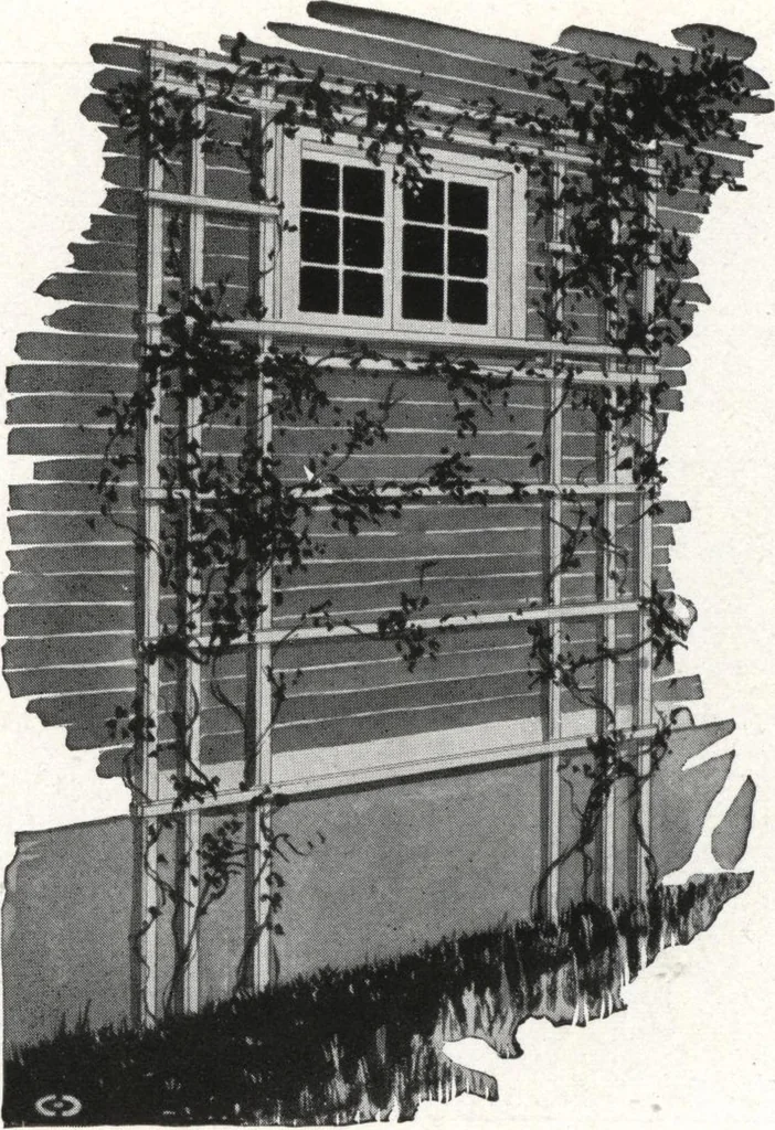 An illustration from Catalog of garden furniture, arbors, pergolas, gateways, trellises, fences, etc., 1920, leaf 96