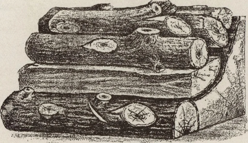 An illustration from Catalogue Aldine Grate & Mantel Company, 1906, leaf 8