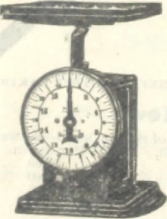 An illustration from Catalogue no. 105, 1900 : the largest mail-order depot in the world : merchandise purchased at sheriffs' and receivers' sales ..., 1900, leaf 51