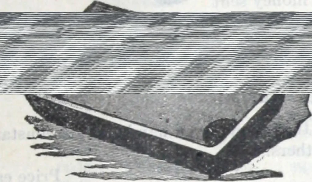 An illustration from Catalogue no. 105, 1900 : the largest mail-order depot in the world : merchandise purchased at sheriffs' and receivers' sales ..., 1900, leaf 66