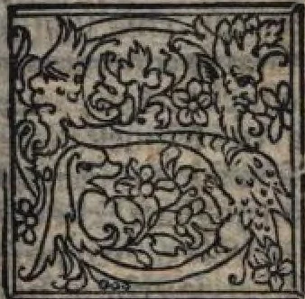 An illustration from Celestina (Fernando de Rojas), 1519, leaf 184