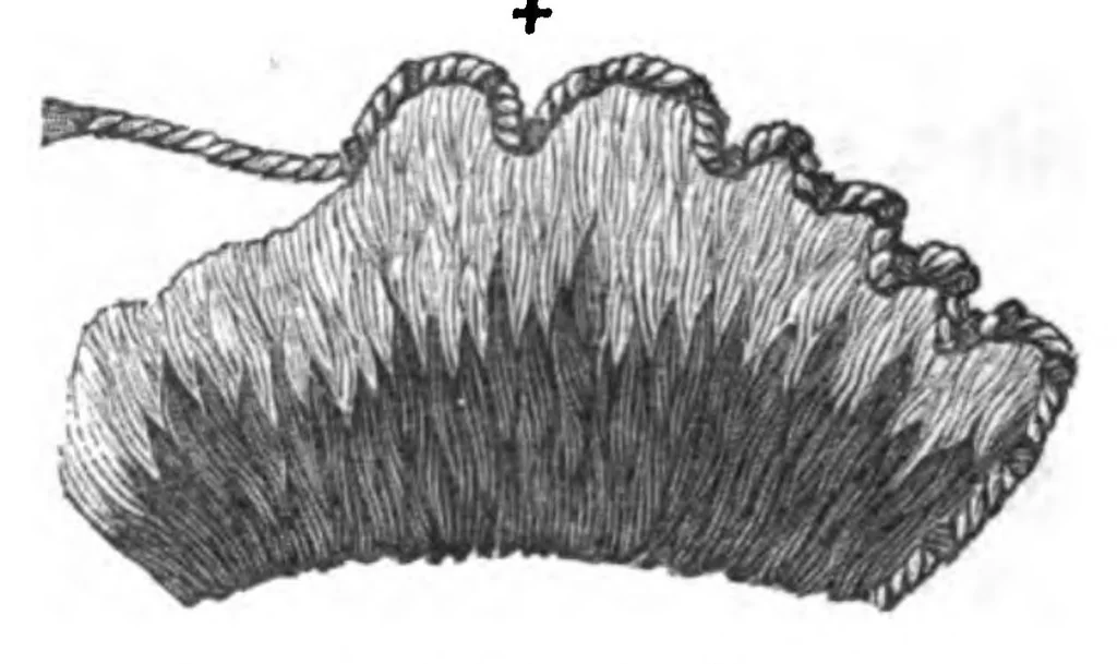 An illustration from Church Embroidery: Ancient And Modern, 1867, leaf 202