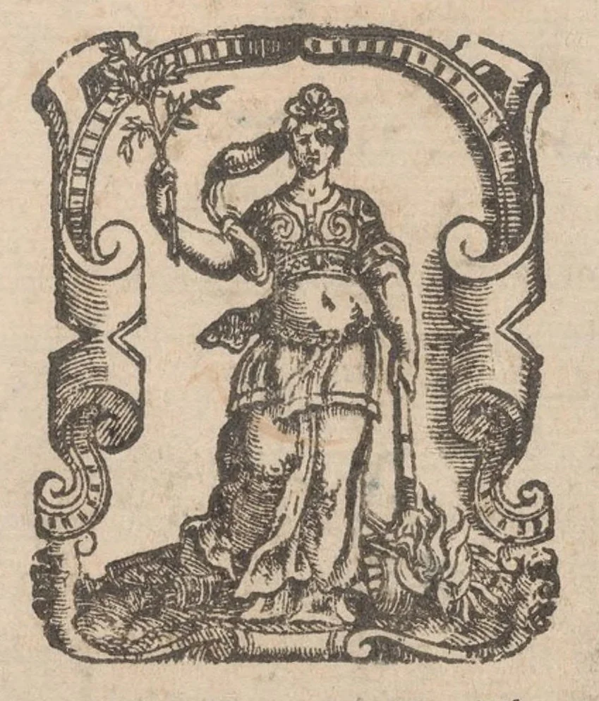 An illustration from Prima parte de' fiori,disegni di varie sorti di ricami moderni, 1591, leaf 1
