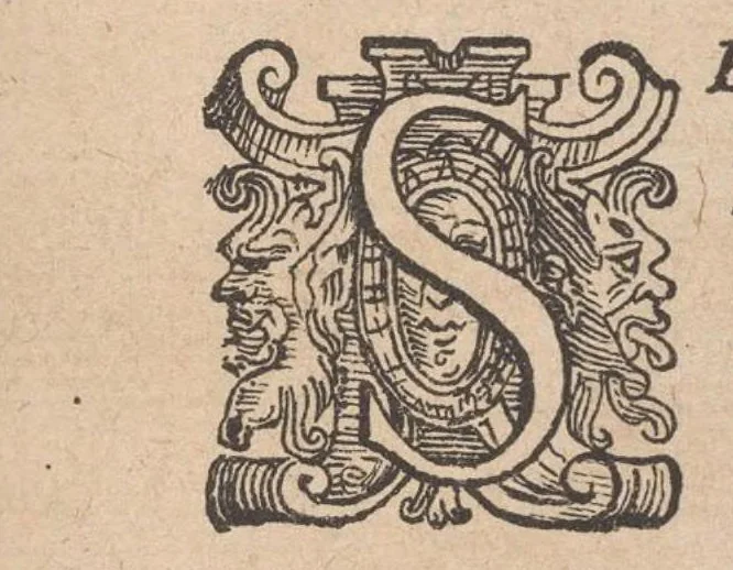 An illustration from Prima parte de' fiori,disegni di varie sorti di ricami moderni, 1591, leaf 2