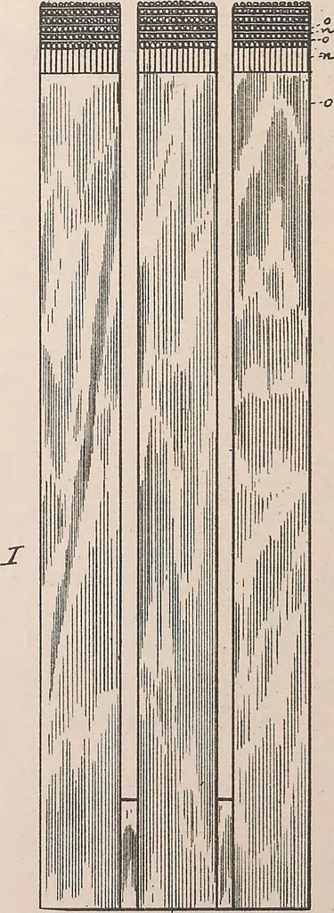 An illustration from Collection of United States patents granted to Thomas A. Edison, 1869-1884, 1869, leaf 1735