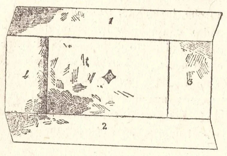 An illustration from Manuale dei giuochi di prestigio e calcolo colle carte, 1905, leaf 54