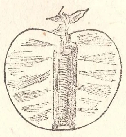 An illustration from Manuale dei giuochi di prestigio e calcolo colle carte, 1905, leaf 93