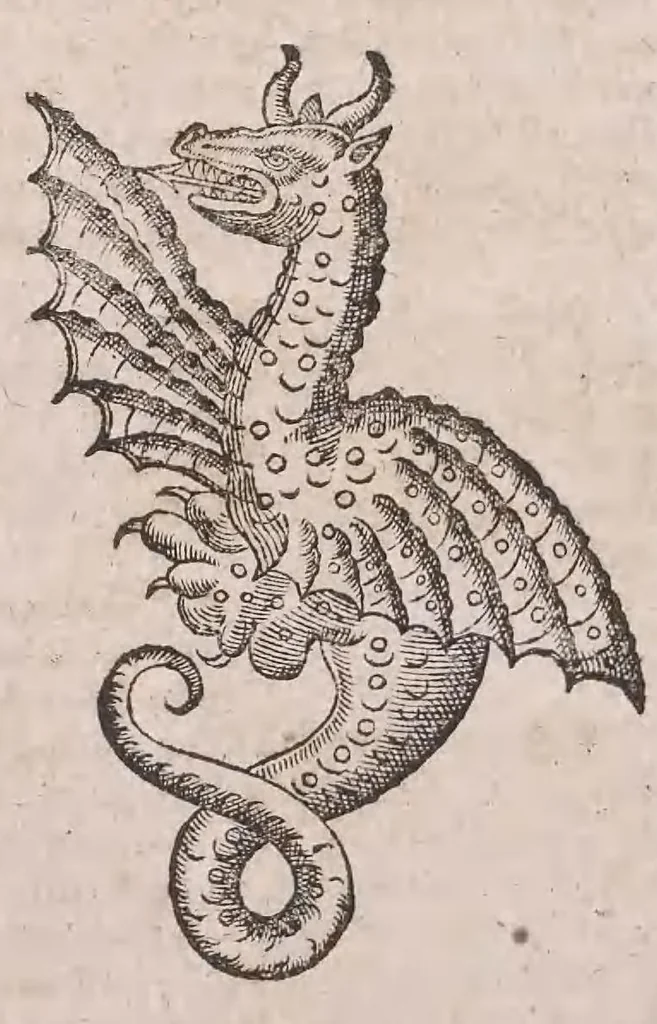 An illustration from Conradi Gesneri Tigurini medicinae et philosophiae professoris in Schola Tigurina, Historiae animalium Lib. V : qui est De serpentium natura : ex varijs schedis et collectaneis eiusdem compositus, 1587, leaf 101