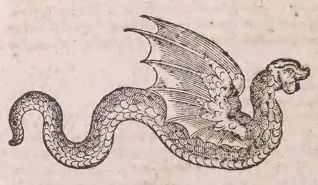 An illustration from Conradi Gesneri Tigurini medicinae et philosophiae professoris in Schola Tigurina, Historiae animalium Lib. V : qui est De serpentium natura : ex varijs schedis et collectaneis eiusdem compositus, 1587, leaf 101