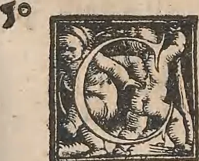 An illustration from Conradi Gesneri medici Tigurini Historiæ animalium Lib. I. de quadrupedibus uiuiparis : opus philosophis, medicis, grammaticis, philologis, poëtis, & omnibus rerum linguarumq́; uariarum studiosis, utilissimum simul iucundissimumq́; futurum .., 1551, leaf 1010