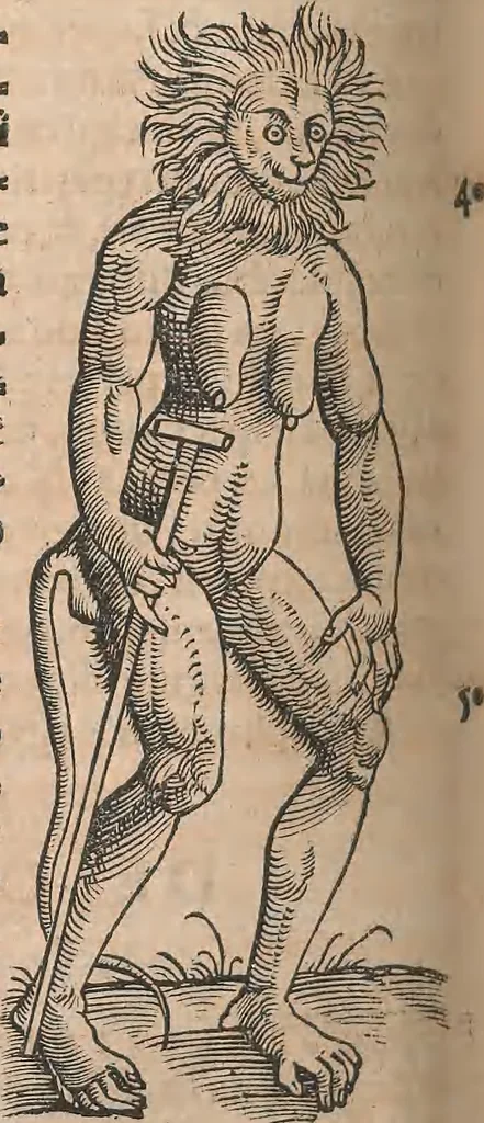 An illustration from Conradi Gesneri medici Tigurini Historiæ animalium Lib. I. de quadrupedibus uiuiparis : opus philosophis, medicis, grammaticis, philologis, poëtis, & omnibus rerum linguarumq́; uariarum studiosis, utilissimum simul iucundissimumq́; futurum .., 1551, leaf 1013