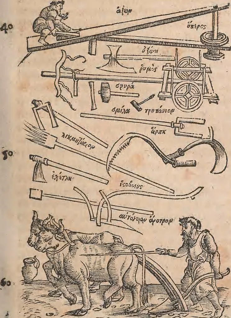 An illustration from Conradi Gesneri medici Tigurini Historiæ animalium Lib. I. de quadrupedibus uiuiparis : opus philosophis, medicis, grammaticis, philologis, poëtis, & omnibus rerum linguarumq́; uariarum studiosis, utilissimum simul iucundissimumq́; futurum .., 1551, leaf 124