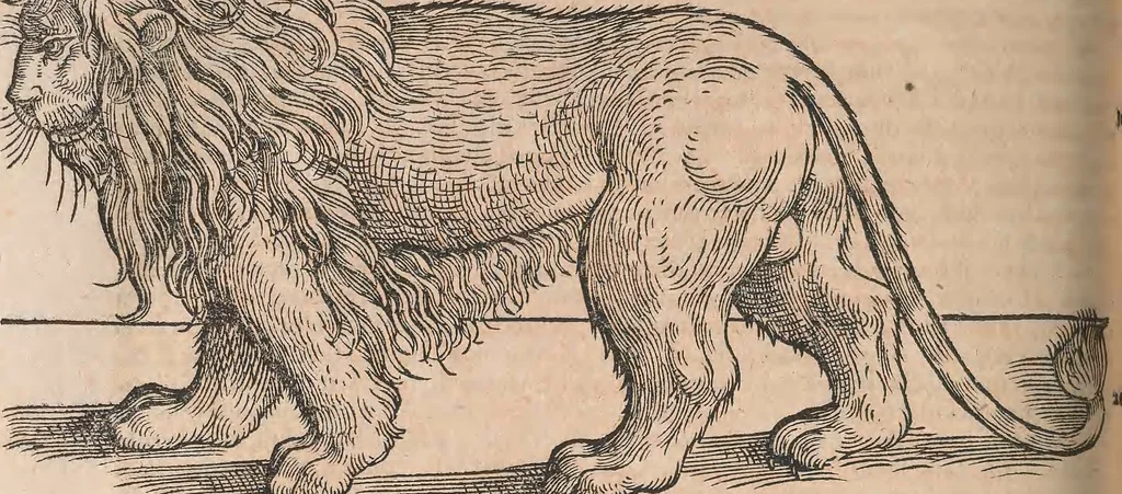 An illustration from Conradi Gesneri medici Tigurini Historiæ animalium Lib. I. de quadrupedibus uiuiparis : opus philosophis, medicis, grammaticis, philologis, poëtis, & omnibus rerum linguarumq́; uariarum studiosis, utilissimum simul iucundissimumq́; futurum .., 1551, leaf 685