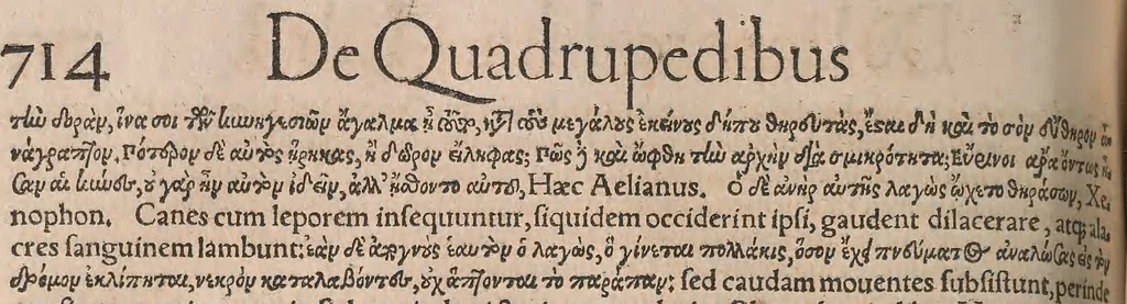 An illustration from Conradi Gesneri medici Tigurini Historiæ animalium Lib. I. de quadrupedibus uiuiparis : opus philosophis, medicis, grammaticis, philologis, poëtis, & omnibus rerum linguarumq́; uariarum studiosis, utilissimum simul iucundissimumq́; futurum .., 1551, leaf 757